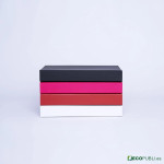 50 Uds Caja Cierre Magnético ECOBOX 31X22X4cm