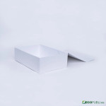 50 Uds Caja Cierre Magnético ECOBOX 33X22X10cm