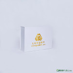 50 Uds Caja Cierre Magnético ECOBOX 38x28x12cm