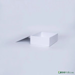 50 Uds Caja Cierre Magnético ECOBOX 38x28x12cm