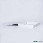 50 Uds Caja Cierre Magnético ECOBOX 43X31X5cm