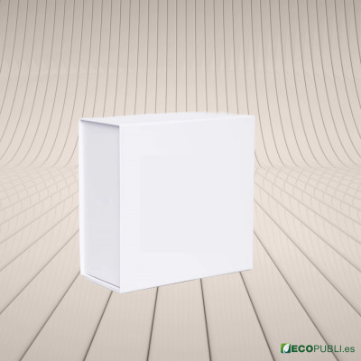25 Uds Caja Cierre Magnético ECOBOX 22X22X10cm