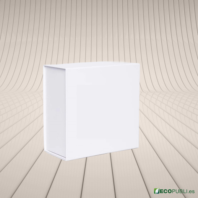 25 Uds Caja Cierre Magnético ECOBOX 22X22X10cm
