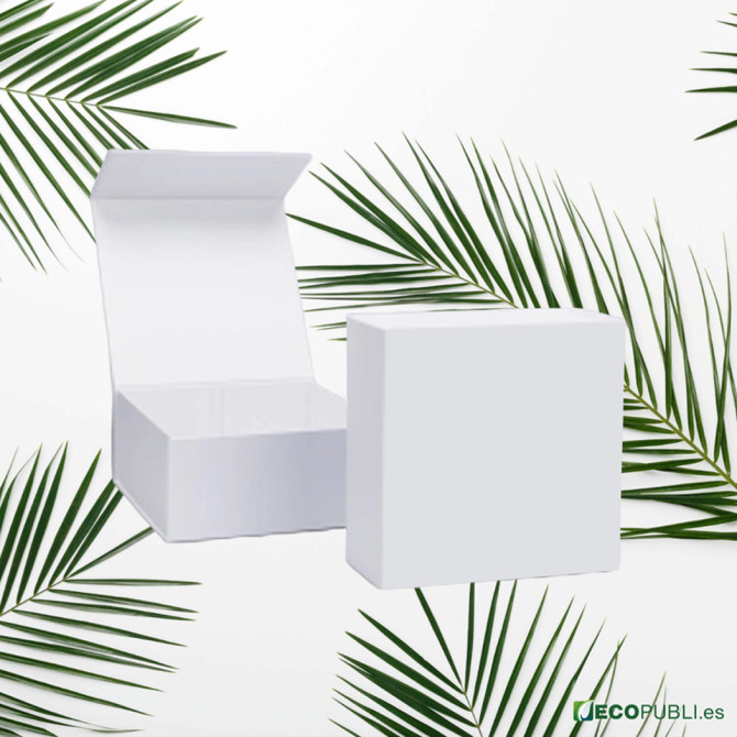 25 Uds Caja Cierre Magnético ECOBOX 40X40X20cm