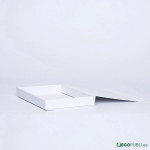 50 Uds Caja Cierre Magnético ECOBOX 23X16X3cm