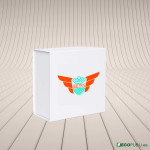 50 Uds Caja Cierre Magnético ECOBOX 22X22X10cm