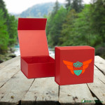 50 Uds Caja Cierre Magnético ECOBOX 25X25X9cm