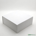 50 Uds Caja Cierre Magnético ECOBOX 30X30X12cm