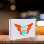 50 Uds Caja Cierre Magnético ECOBOX 37X26X6cm