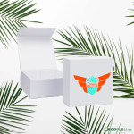 50 Uds Caja Cierre Magnético ECOBOX 40X40X20cm