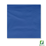Servilleta 10X10 Cerrada 2 Capas Plegado en Cruz
