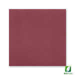 Servilleta 10x10 Cerrada Tissue Seco Plegado en Cruz