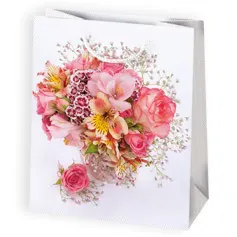 Bolsas de regalo BO-0001