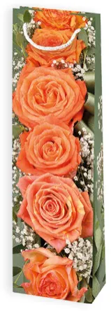 Bolsas de regalo BO-0223