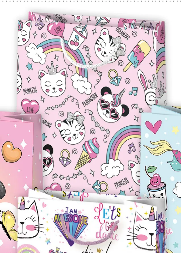 Bolsas de regalo BO-0498