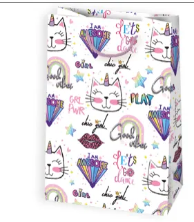 Bolsas de regalo BO-0164