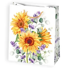 Bolsas de regalo BO-0585