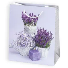Bolsas de regalo BO-0006