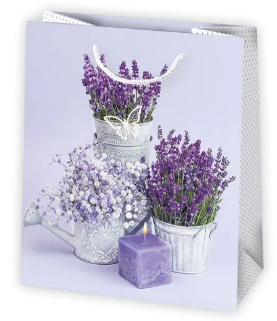 Bolsas de regalo BO-0356