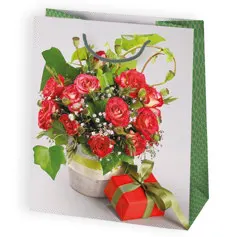 Bolsas de regalo BO-0014