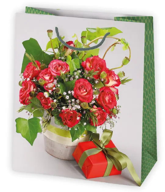 Bolsas de regalo BO-0358