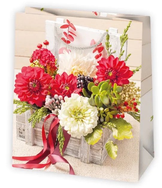 Bolsas de regalo BO-0359