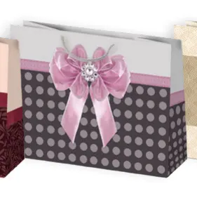 Bolsas de regalo BO-0120