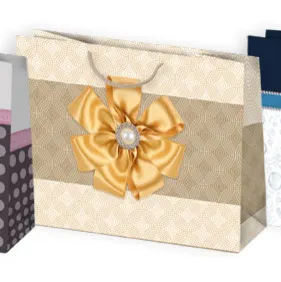 Bolsas de regalo BO-0121