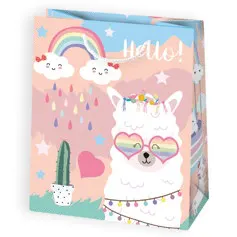 Bolsas de regalo BO-0019