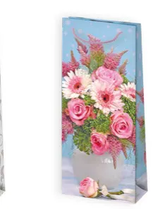 Bolsas de regalo BO-0142