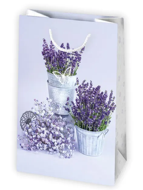 Bolsas de regalo BO-0338