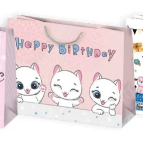 Bolsas de regalo BO-0123