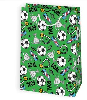 Bolsas de regalo BO-0166
