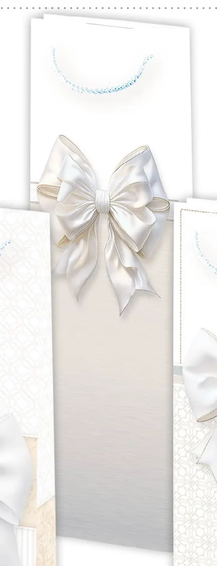 Bolsas de regalo BO-0508