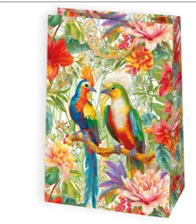 Bolsas de regalo BO-0177