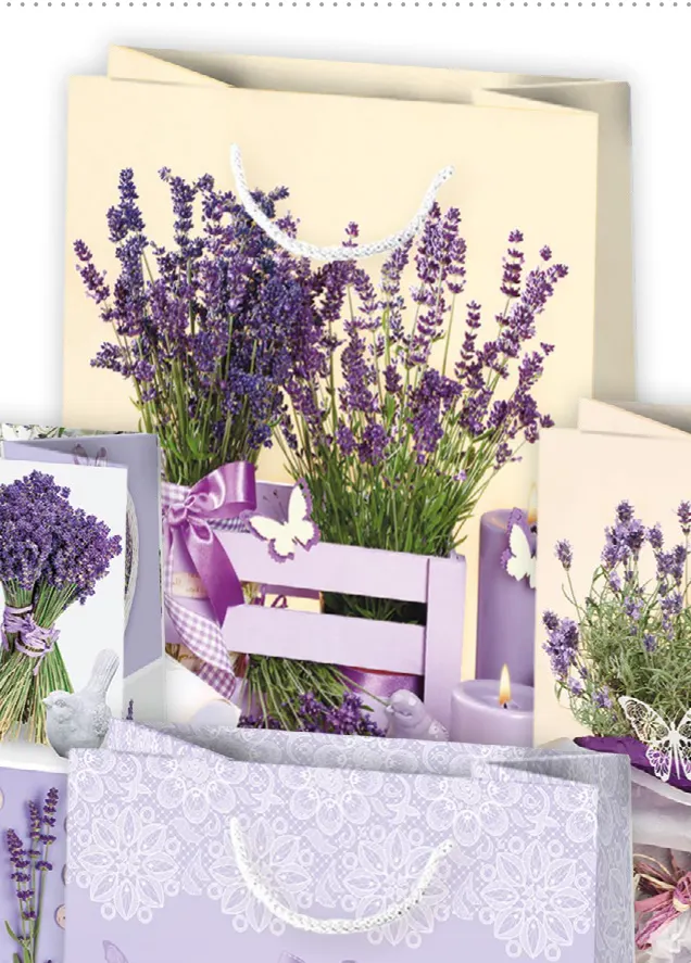 Bolsas de regalo BO-0490