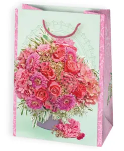 Bolsas de regalo BO-0094
