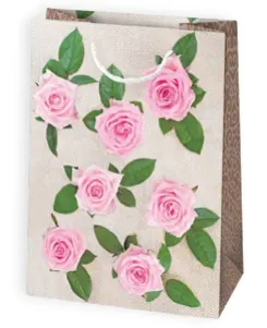 Bolsas de regalo BO-0095