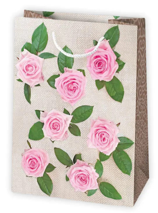 Bolsas de regalo BO-0397