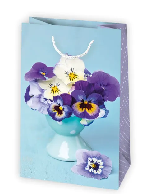 Bolsas de regalo BO-0325