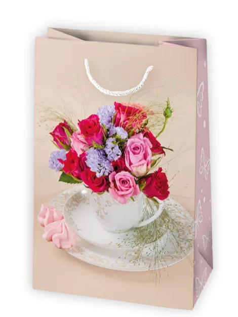 Bolsas de regalo BO-0328