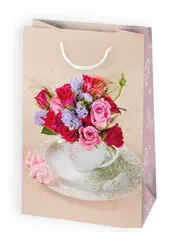 Bolsas de regalo BO-0539