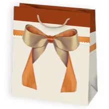 Bolsas de regalo BO-0545