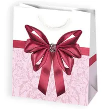 Bolsas de regalo BO-0546