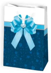 Bolsas de regalo BO-0572