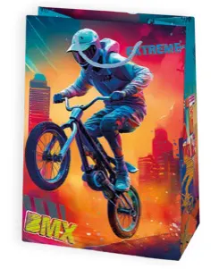 Bolsas de regalo BO-0099