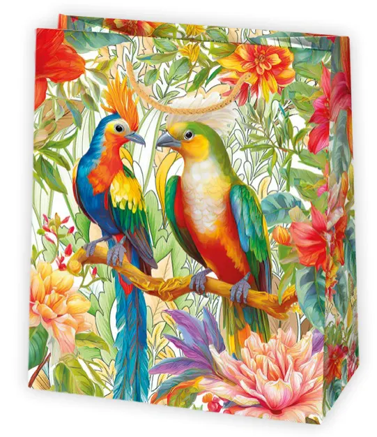 Bolsas de regalo BO-0366