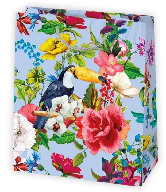 Bolsas de regalo BO-0367