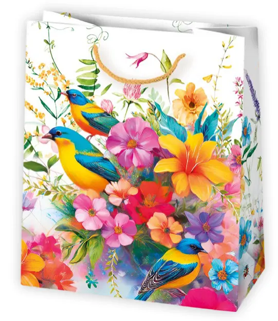 Bolsas de regalo BO-0368