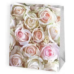 Bolsas de regalo BO-0028